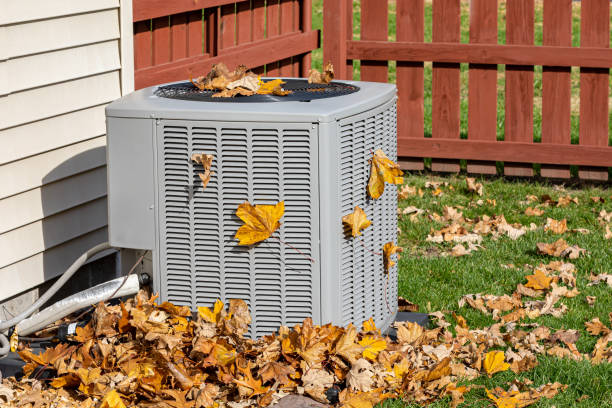 Best HVAC maintenance near me  in Reed City, MI